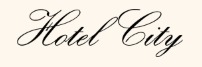 Hotel Icon