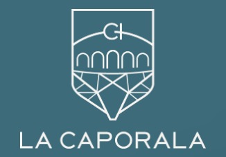 Hotel Icon